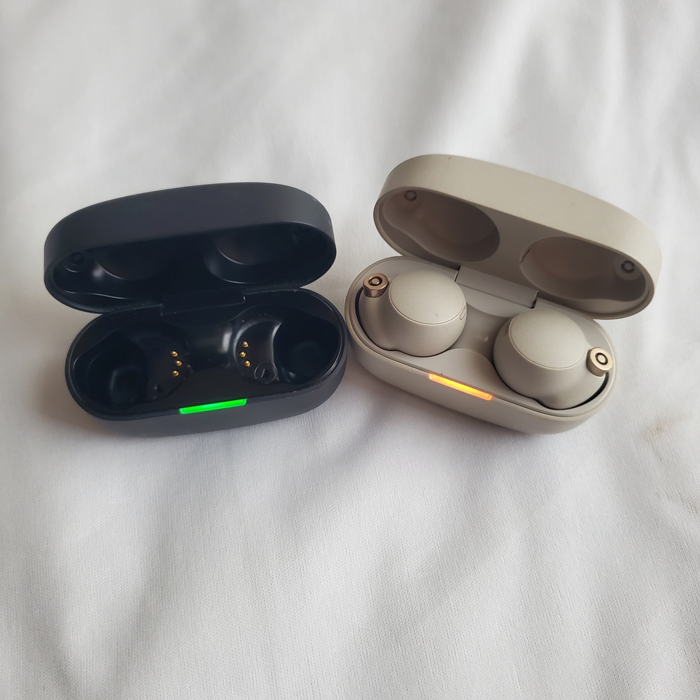 Sony 1000XM4 Earbuds Light Grey + Extra Black Case